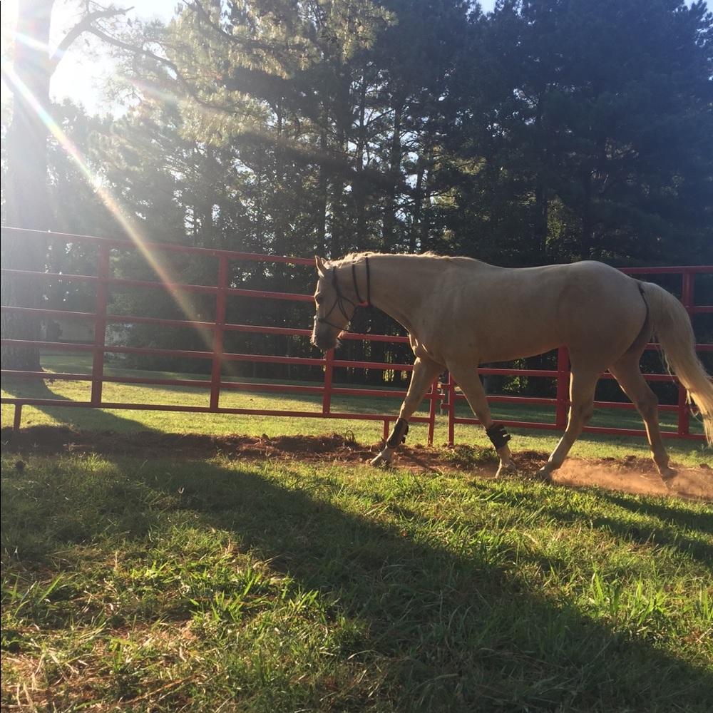 Meet your Posher, Jenna